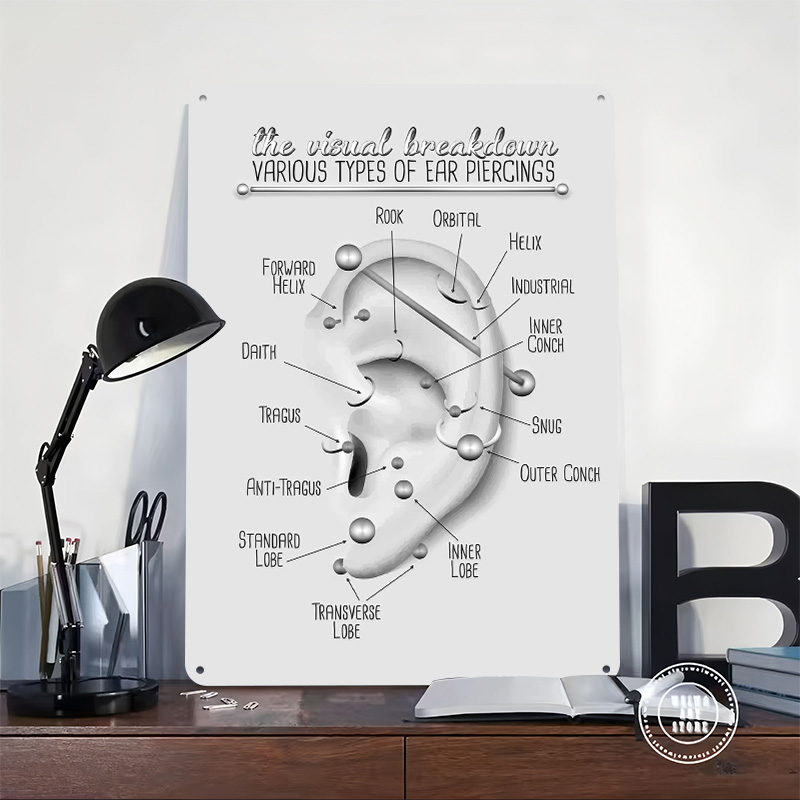Ohrlochstechkarte Metallposter – Desk Setup Poster Bewertung und Preis