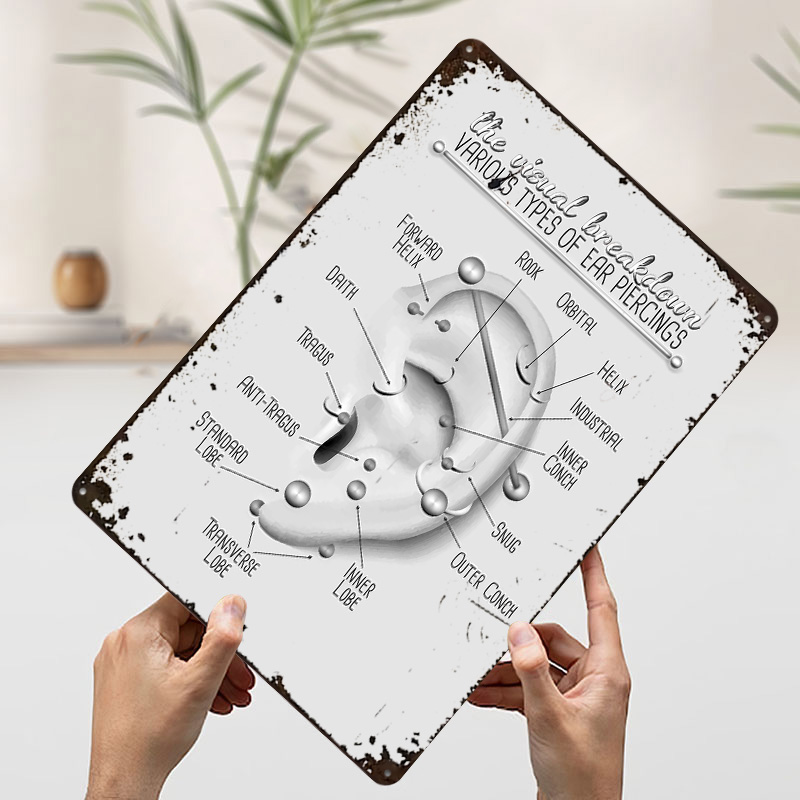 Ohrlochstechkarte Metallposter – Desk Setup Poster Bewertung und Preis